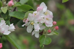 dscn2846 dscn2846