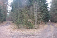 p1000402_copy