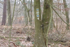 p1000422_copy