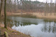 p1000423_copy