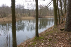 p1000424_copy