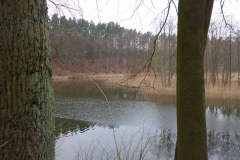 p1000425_copy