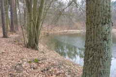 p1000426_copy