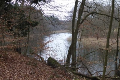 p1000427_copy