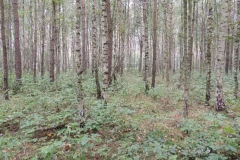 dscn1128