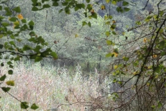 dscn1130