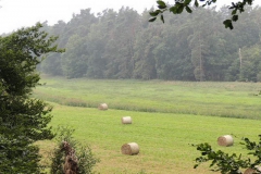 dscn1137