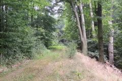 dscn1138