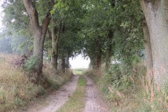dscn1147