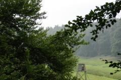 dscn3056