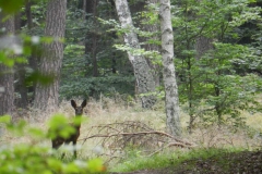dscn3057