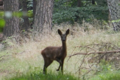 dscn3058