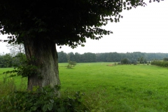 dscn3068