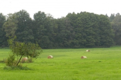dscn3069