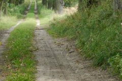 dscn3072