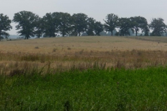 dscn3073