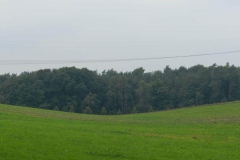 dscn3074