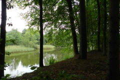 dscn3083