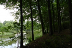 dscn3084