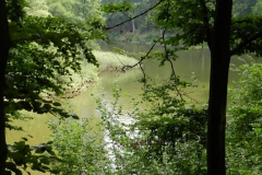 dscn3086