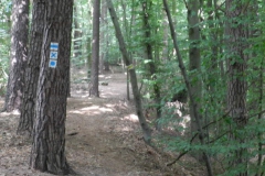 dscn3087