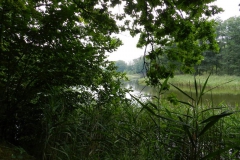 dscn3088