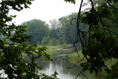 dscn3089