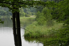 dscn3093
