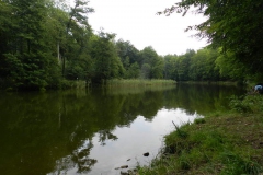 dscn3094