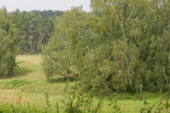 dscn3098