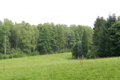 dscn3099