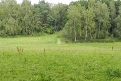 dscn3100