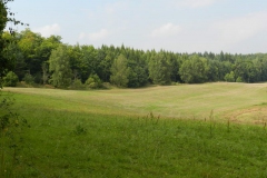 dscn3101