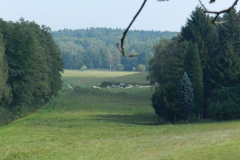 dscn3102