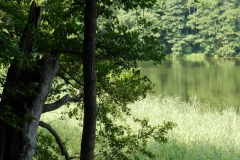 dscn3105