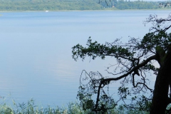 dscn3106