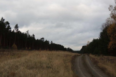 dscn3711
