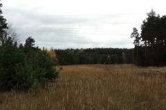 dscn3712