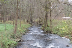 dscn3717
