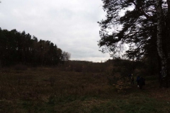 dscn3719