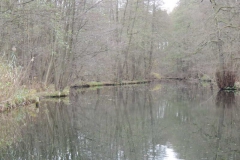 dscn3737