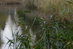 dscn3717