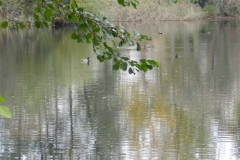 dscn3718