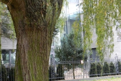 dscn3720