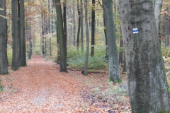 dscn3728