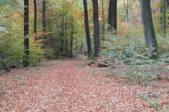 dscn3732