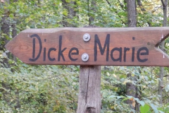 dscn3739