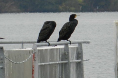 dscn3761