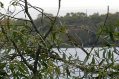 dscn3769