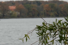 dscn3770